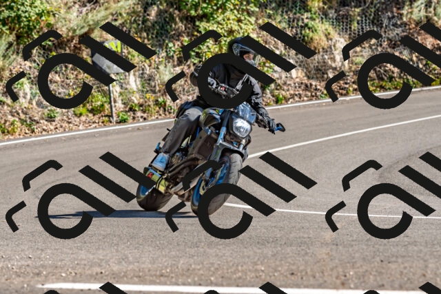 202509271512-DSC_4455_d2_