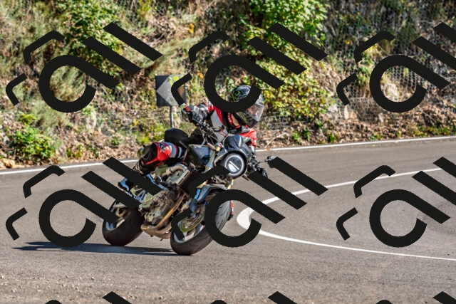 202509271514-DSC_4460_d2_