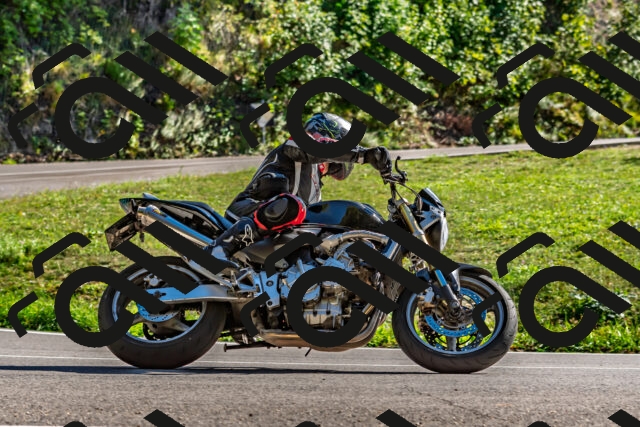 202509271514-DSC_4462_d2_