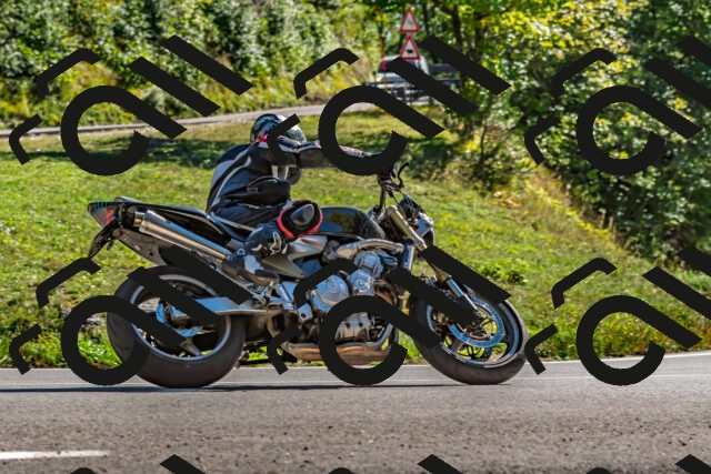 202509271514-DSC_4463_d2_