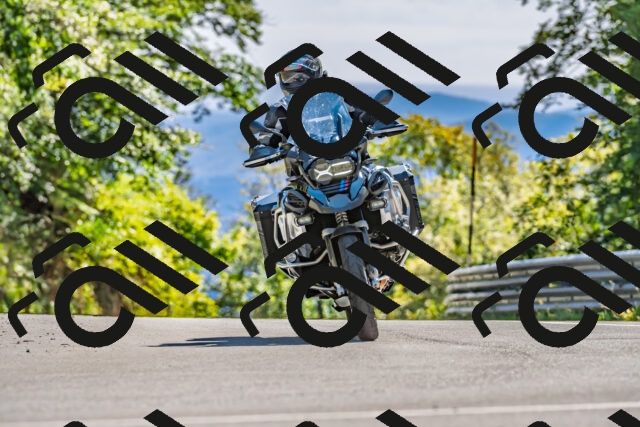 202509271515-DSC_4473_d2_