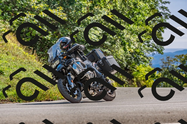 202509271515-DSC_4474_d2_