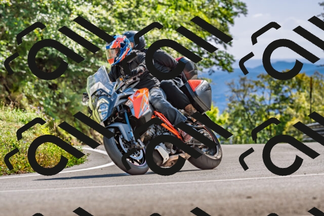 202509271520-DSC_4480_d2_