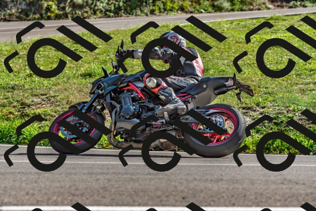 202509271525-DSC_4490_d2_