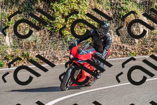 202509271530-DSC_4500_d2_