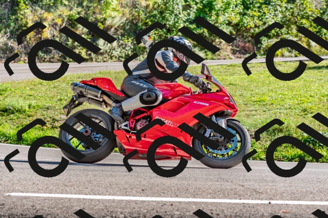 202509271530-DSC_4503_d2_