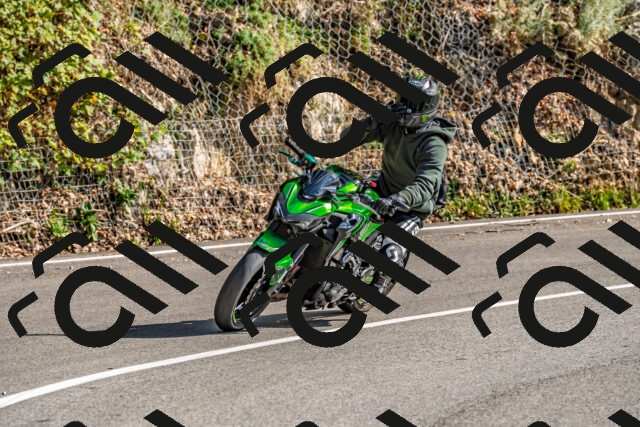 202509271535-DSC_4506_d2_