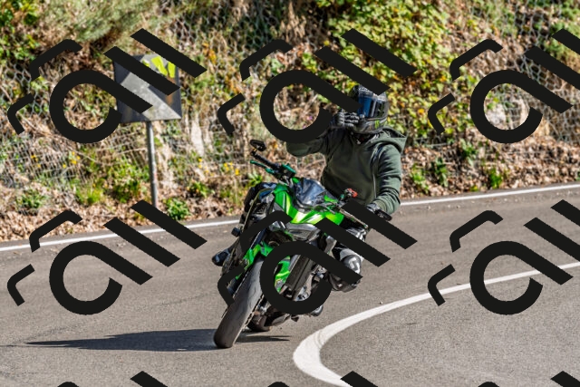 202509271535-DSC_4508_d2_