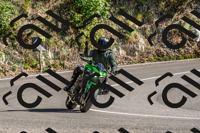 202509271535-DSC_4510_d2_