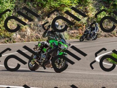 202509271535-DSC_4512_d2_