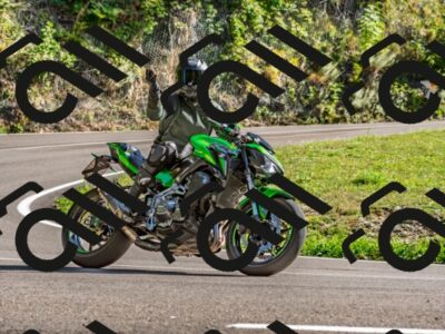 202509271535-DSC_4514_d2_