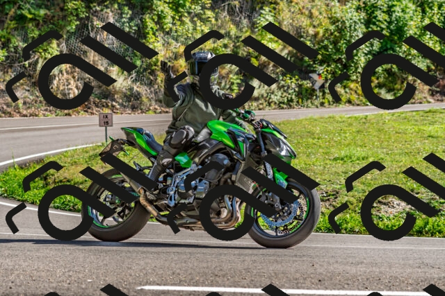 202509271535-DSC_4515_d2_