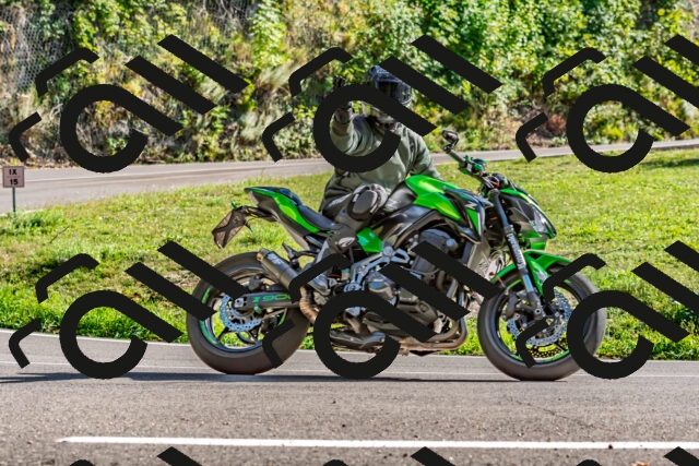 202509271535-DSC_4516_d2_