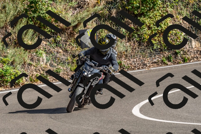 202509271535-DSC_4517_d2_