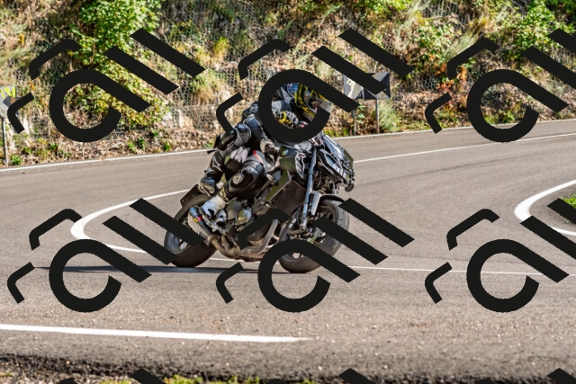 202509271535-DSC_4518_d2_