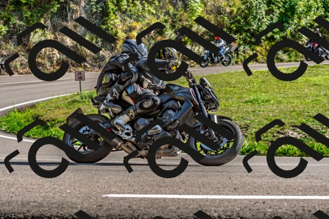 202509271535-DSC_4520_d2_