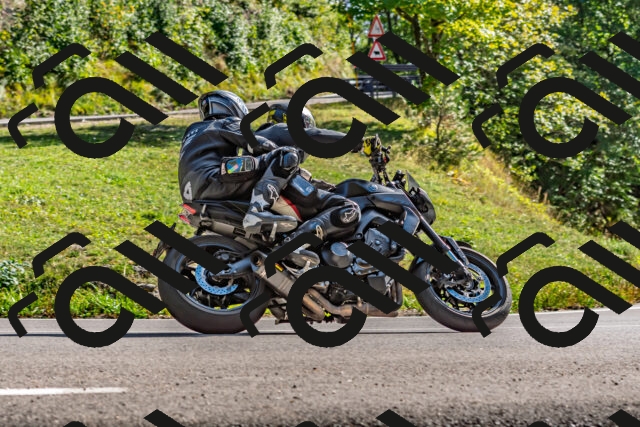 202509271535-DSC_4522_d2_