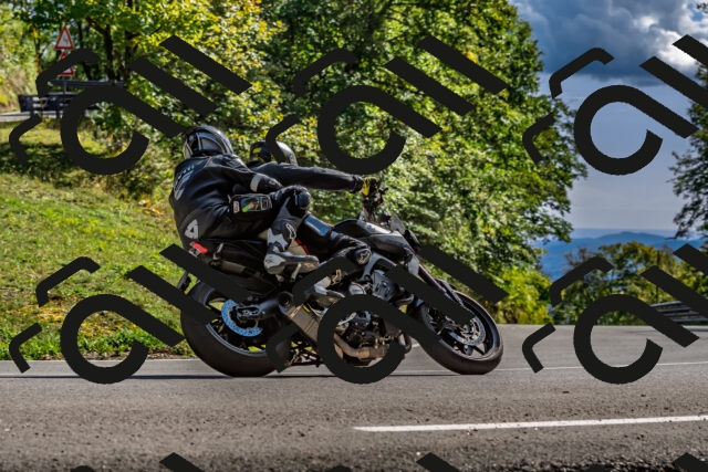 202509271535-DSC_4523_d2_