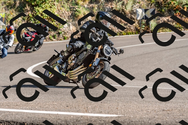 202509271535-DSC_4524_d2_