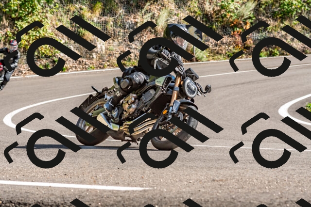 202509271535-DSC_4525_d2_