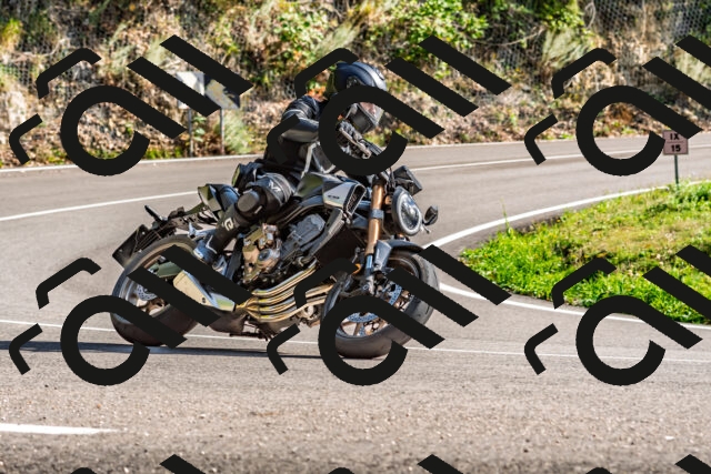 202509271535-DSC_4526_d2_