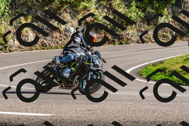 202509271535-DSC_4529_d2_