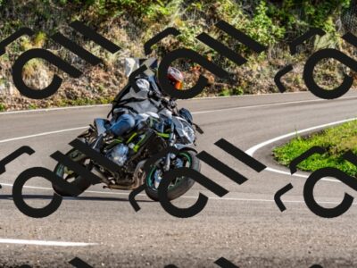 202509271535-DSC_4529_d2_