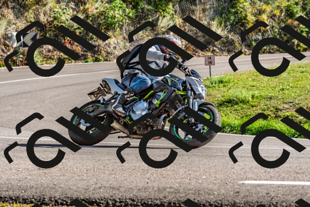 202509271535-DSC_4530_d2_