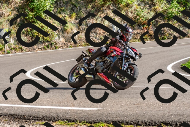 202509271535-DSC_4531_d2_