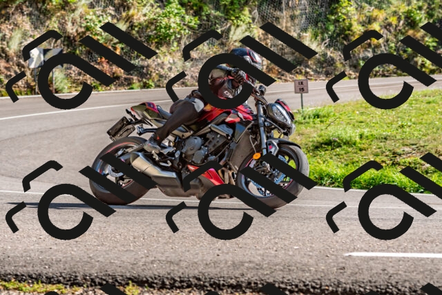 202509271535-DSC_4532_d2_