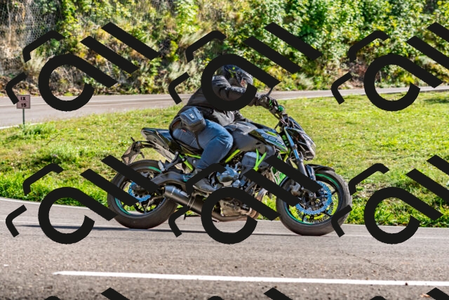 202509271535-DSC_4536_d2_