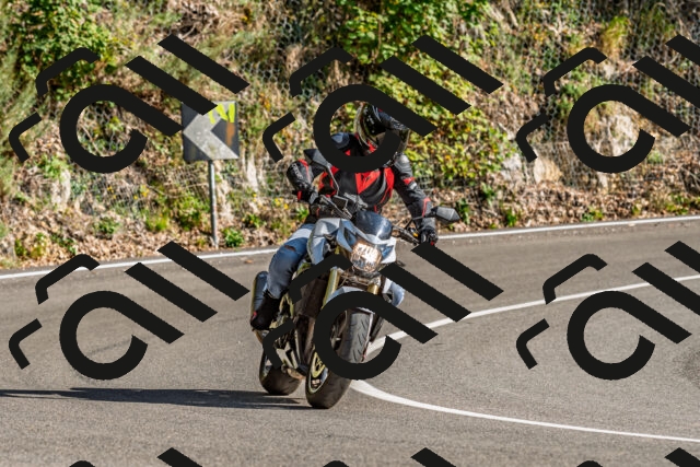 202509271551-DSC_4559_d2_