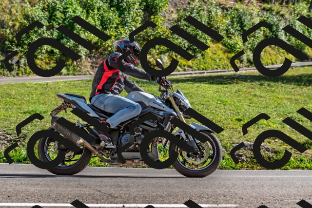 202509271551-DSC_4562_d2_