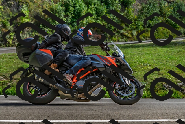 202509271555-DSC_4584_d2_