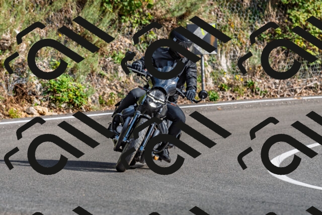 202509271556-DSC_4585_d2_