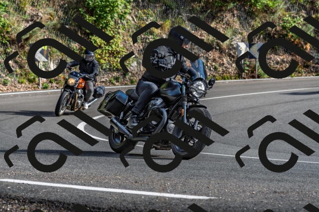 202509271556-DSC_4586_d2_