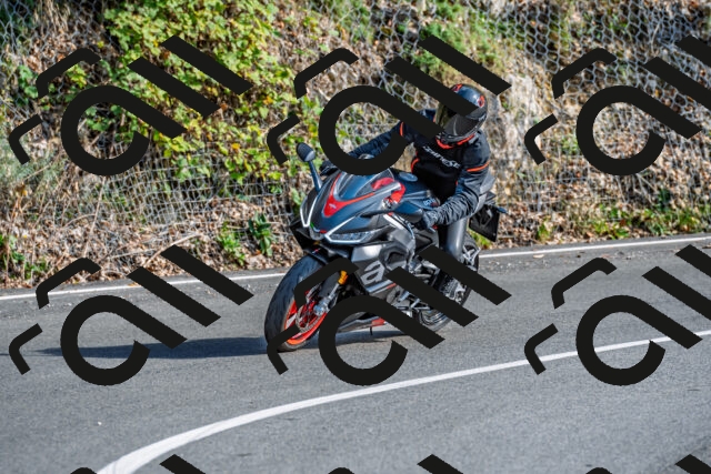 202509271602-DSC_4595_d2_