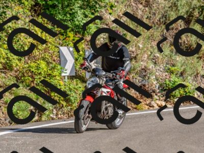 202509271603-DSC_4600_d2_