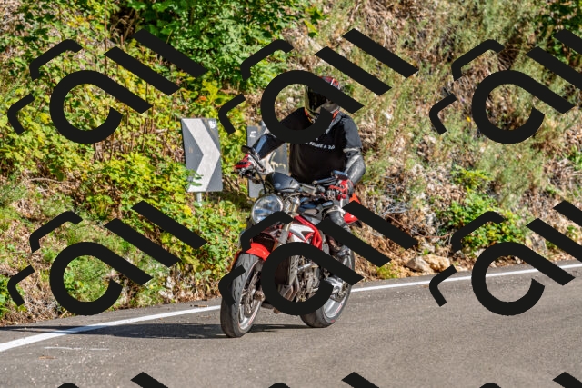 202509271603-DSC_4600_d2_