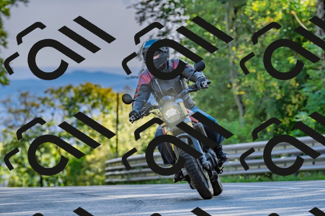 202509271619-DSC_4630_d2_