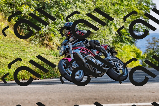 202509271619-DSC_4634_d2_