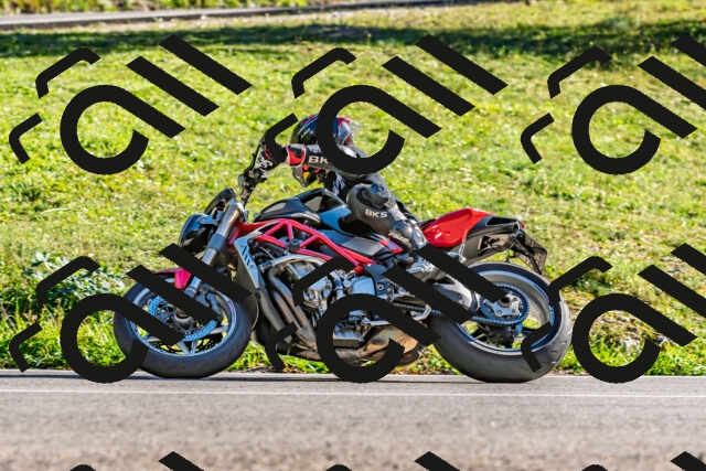 202509271619-DSC_4635_d2_