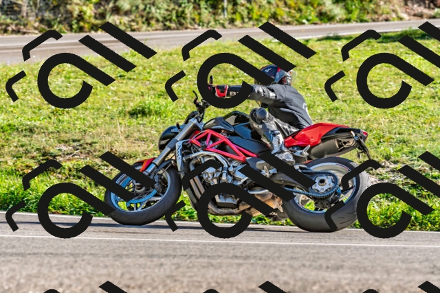 202509271619-DSC_4636_d2_