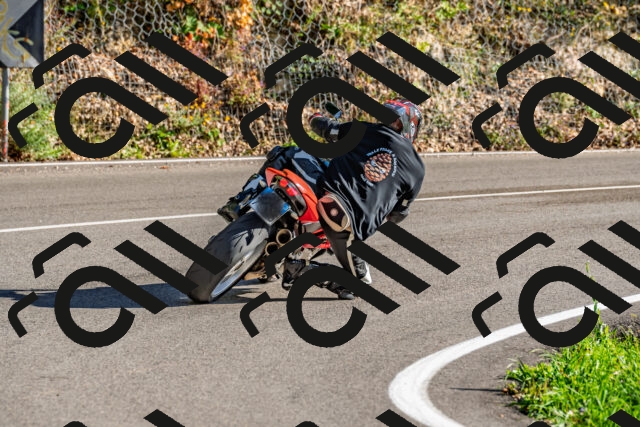 202509271619-DSC_4638_d2_