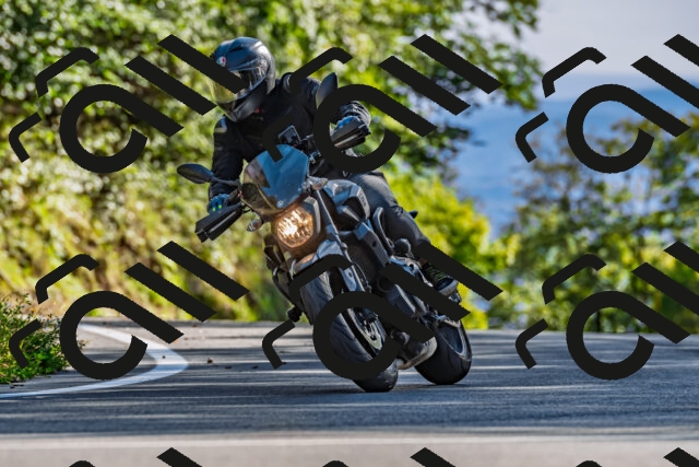 202509271620-DSC_4641_d2_