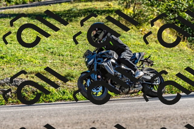 202509271620-DSC_4653_d2_