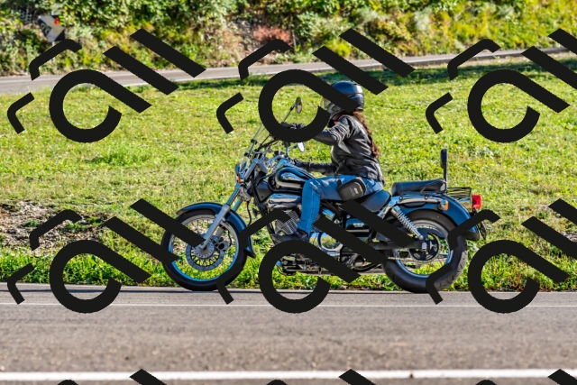 202509271624-DSC_4660_d2_