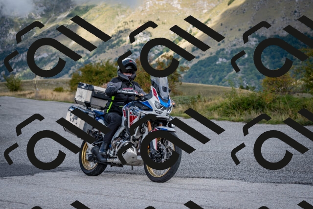 202509281134-DSC_7167_c2