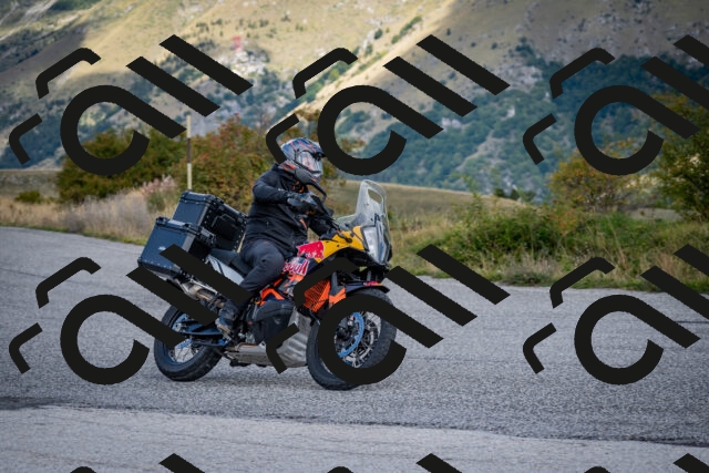 202509281134-DSC_7171_c2