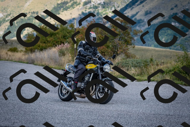 202509281148-DSC_7240_c2